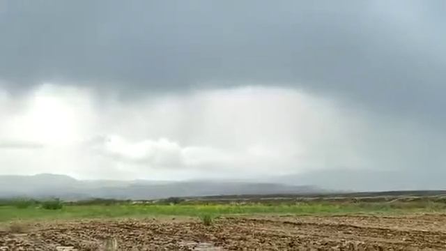 Егинди суару . Бидай өндіру, бидай егу, эспарцет трава, ауыл шаруашылыгы смотреть онлайн