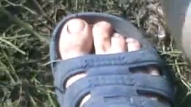 Goose-depilator смотреть онлайн