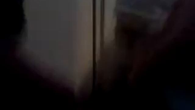 Кошки смотреть онлайн