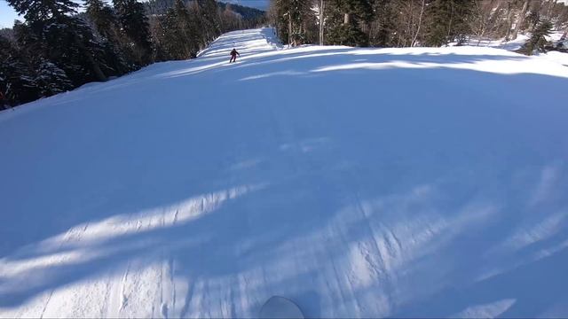 Роза. Трасса сторожка. 12.02.2025