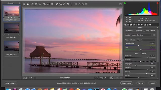 Camera Raw смотреть онлайн