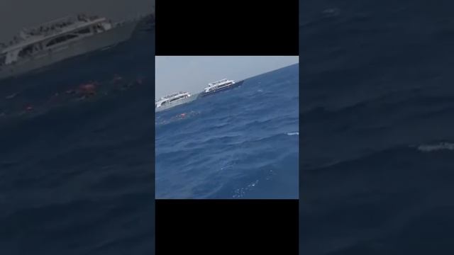 Dolphin House Hurghada, Egypt 2019