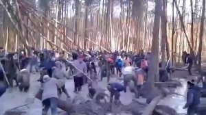 Копання бурштину - урочище Кмеча, Рівненська область