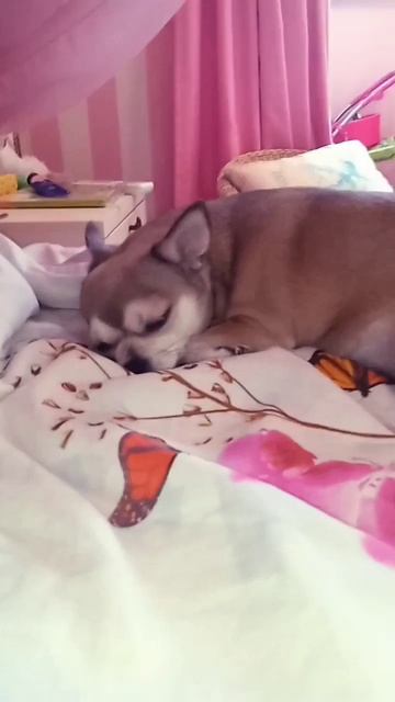 на ней сидит всё идеально💯✨ смотреть онлайн