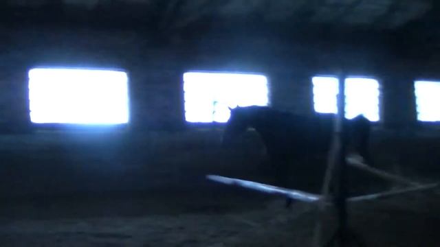 Darida смотреть онлайн