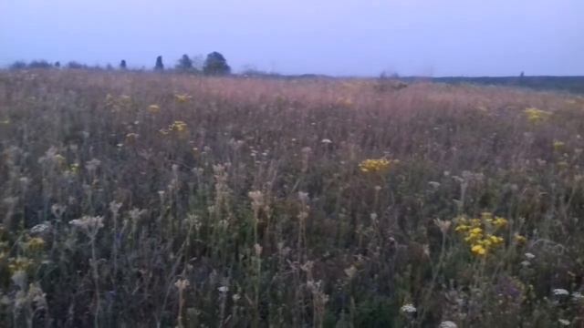 Бармаки. Степ на заході сонця-2 смотреть онлайн