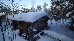 4 дня в старой избе. Наглые бобры. Уха на костре.