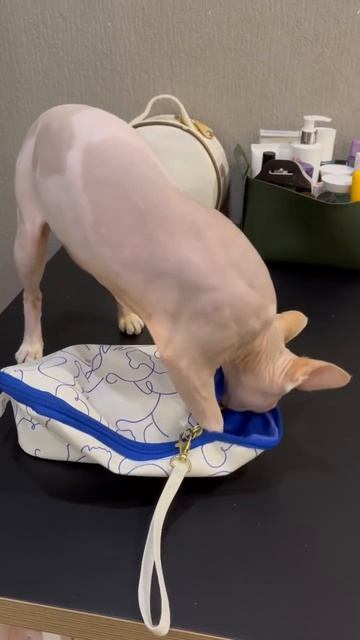 Сыщик в деле смотреть онлайн