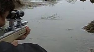 полуавтоматическая винтовка РСР