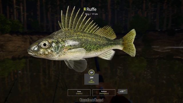 RF4: Winding Rivulet River Mussel Trophy Update! (Ft. Zebra Mussel Trophy - White-Eye Bream - Volga смотреть онлайн