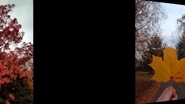 Великолепная осень и прекрасная музыка.mp4 смотреть онлайн