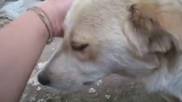 Малютки с предприятия