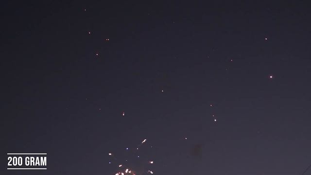 The Killer - Great Grizzly 200G смотреть онлайн