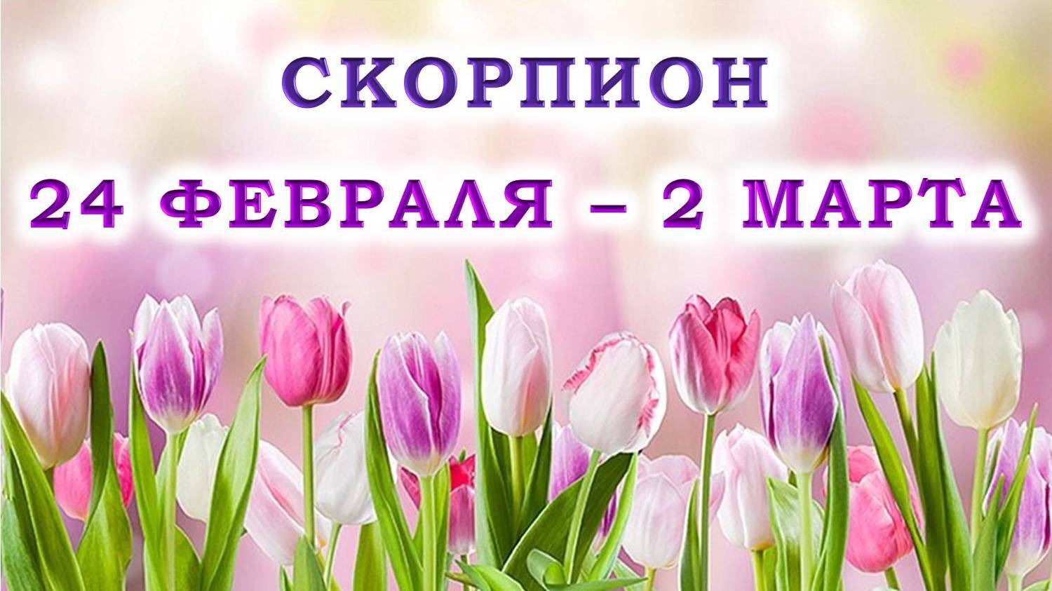 ♏ СКОРПИОН. 🌷 С 24 ФЕВРАЛЯ по 2 МАРТА 2025 г. 💖 Подробный Таро-прогноз 🫶 смотреть онлайн