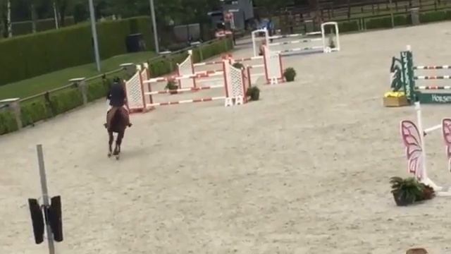 Casanova De Beaufour @ CSI1* Valkenswaard 2016 (Day 2 Week 2) смотреть онлайн