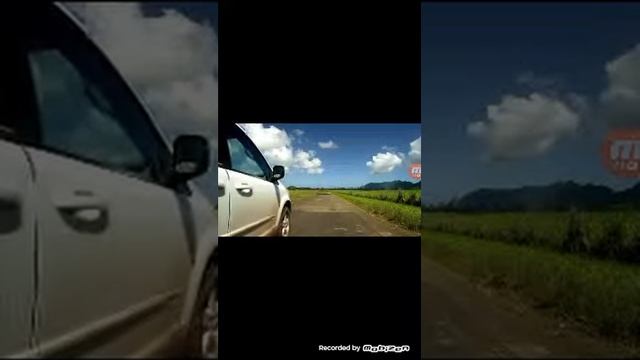 Реакция на гигантскую анаконду смотреть онлайн