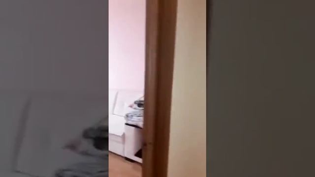 Московский пр 147а смотреть онлайн