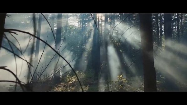 Stive Morgan - Eclipse Of The Moon