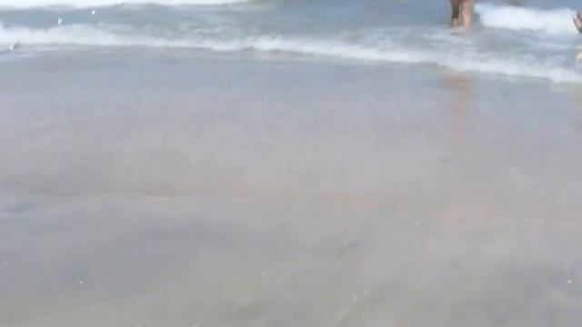 Black sea's beach смотреть онлайн
