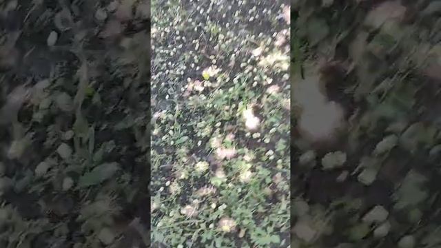 Новости науки в вашем уме сегоданя и навсегда