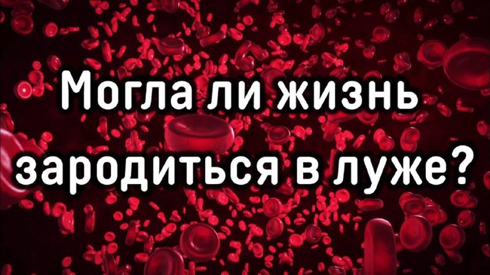 Могла ли жизнь зародиться в луже? смотреть онлайн