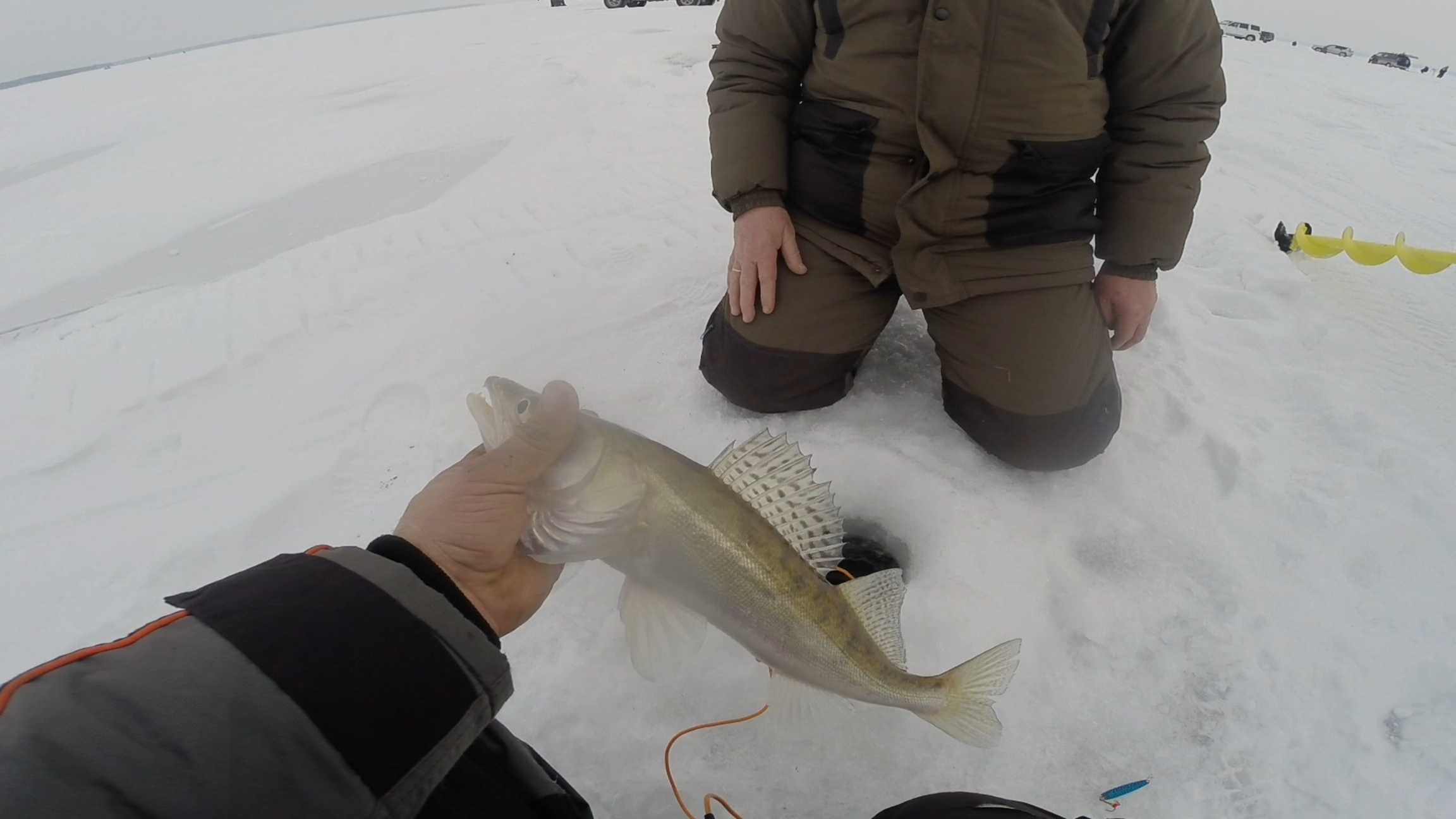 РЫБАЛКА В ТОЛПЕ.РЫБАЛКА НА СУДАКА.ВЕЧЕРНИЙ ВЫХОД КОМУ ВЕЗЕТ ТОМУ ВЕЗЕТ смотреть онлайн