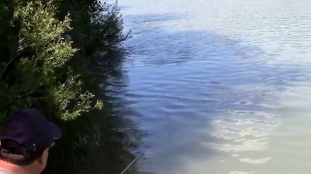 Karadeniz Ereğli Balık Avı 29.05.2016 смотреть онлайн