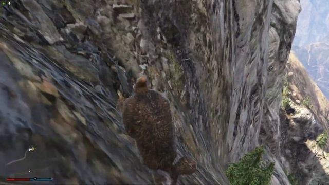 Grand Theft Auto V Online - Лофофора - Заяц смотреть онлайн