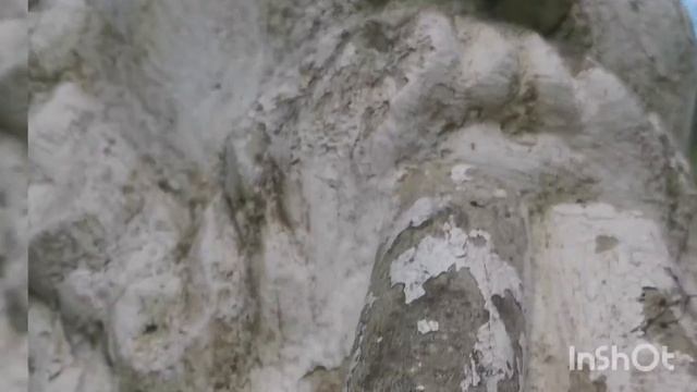 Парк Айвазовского 2021 г. смотреть онлайн