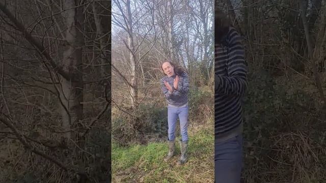 Alders are the fastest growing big native tree #permaculture #cat #nativetrees #forest #woodland смотреть онлайн