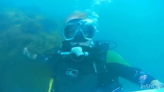 Дайвинг с флагом ООО «ЗГМ» смотреть онлайн