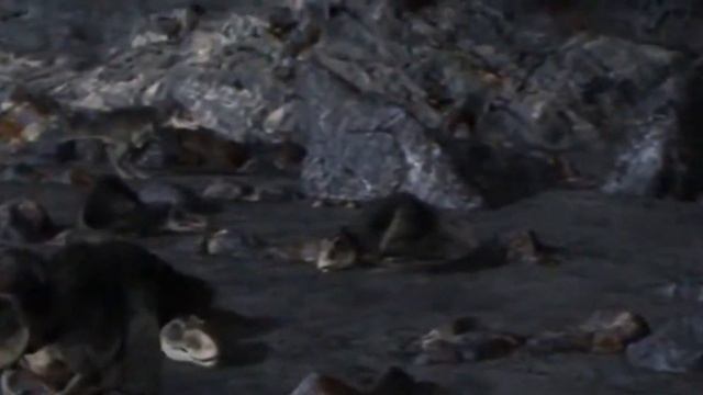 March of the Dinosaurs Movie смотреть онлайн