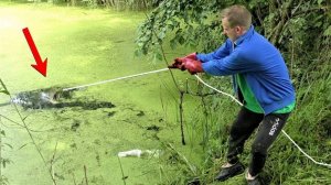 ЖИРНЫЙ УЛОВ не ОЖИДАЛИ, Удачно ЗАКИНУЛ  Поисковый МАГНИТ в Лесное ОЗЕРО!!!
