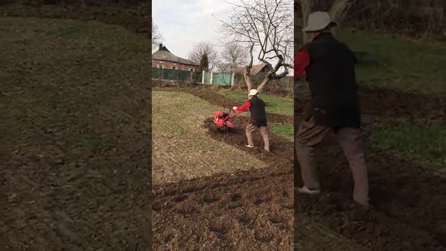 Персиковий сад. Відео 1 смотреть онлайн