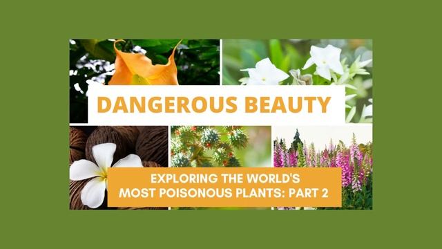 Stop the Deer and Rabbit Buffet: Beautiful Blooms That They Hate, But You Will Love!! смотреть онлайн