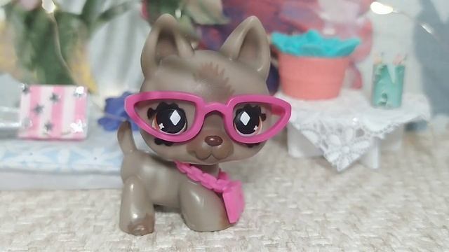 Моя коллекция LPS/Январь 2023 смотреть онлайн