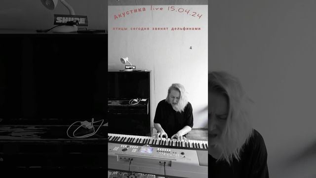 птицы сегодня звенят дельфинами /акустика live piano смотреть онлайн