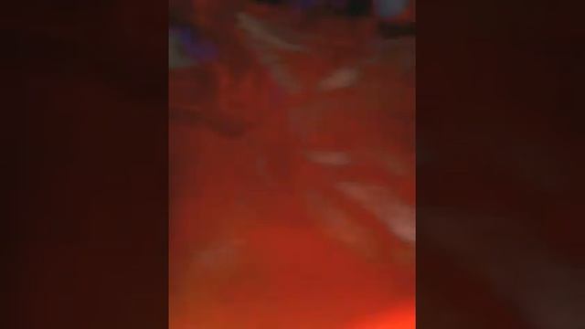 Кот говно смотреть онлайн