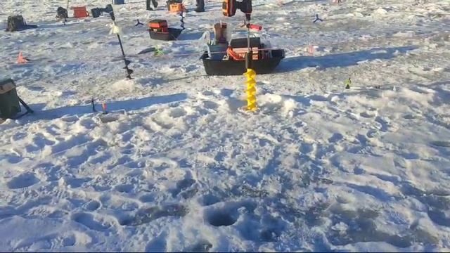 WhatsApp Video 2025-02-23 at 10.01.17 смотреть онлайн