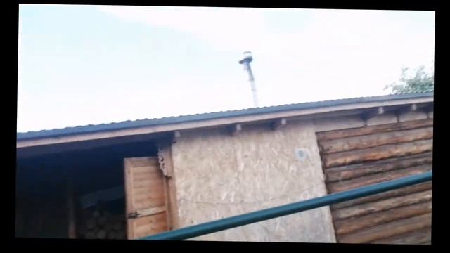 Машина времени смотреть онлайн