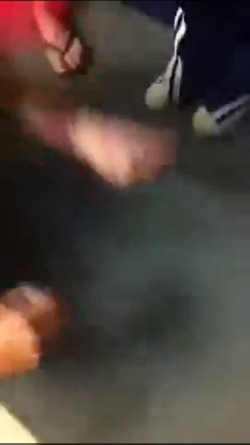 Flopping betta смотреть онлайн