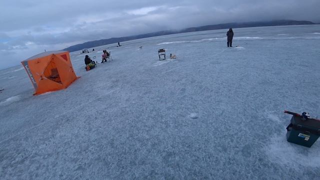 ОМУЛЬ, ЗАКРЫТИЕ СЕЗОНА. смотреть онлайн