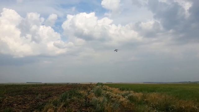 Грозолет Mad Серёга - восточный старт