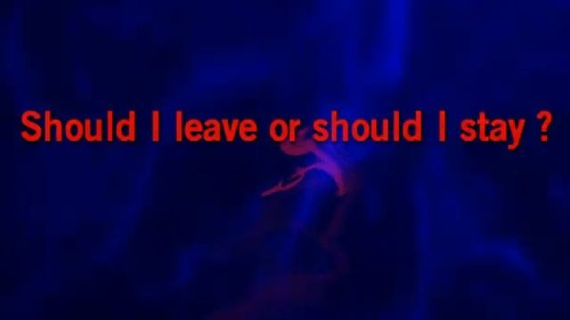 Karaoké - David Charvet - Should I leave смотреть онлайн