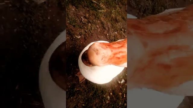 Иду со школы домой и меня встречают гуси смотреть онлайн