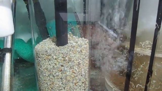 Zeolife Akvaryum Zeolit