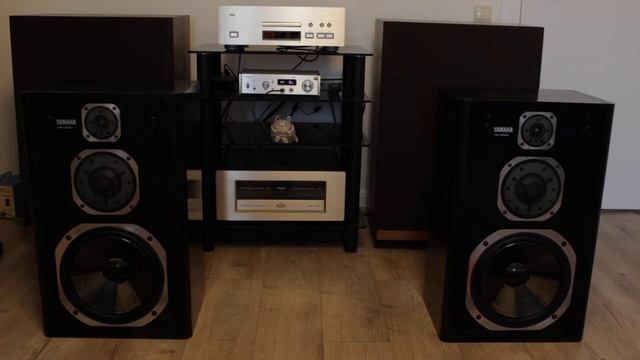Accuphase P-550 + Yamaha NS-1000X смотреть онлайн