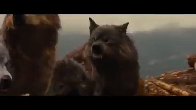 Bo'ri Odam Yoxud Yolg'iz Bo'ri Film