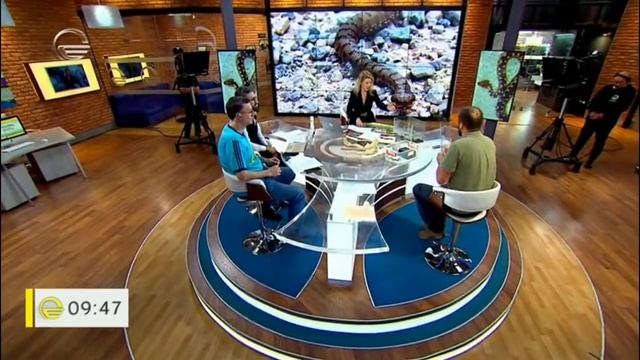 მომრავლებული ქვეწარმავლები ზაფხულის პერიოდში смотреть онлайн