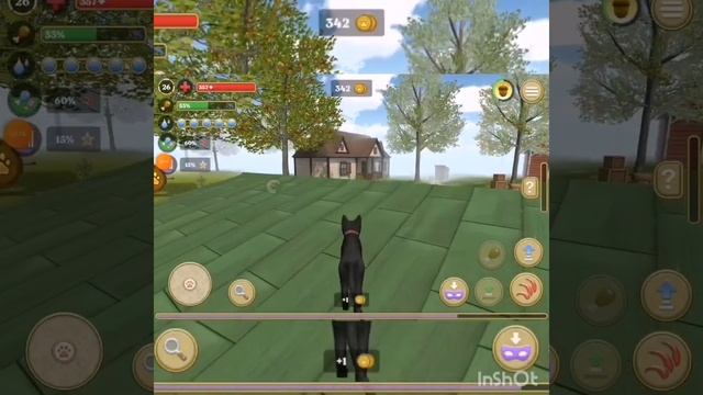 симулятор кота и кошки асмр звук не мой собираю монетки. смотреть онлайн